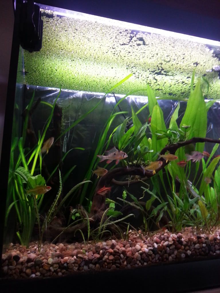 20120812_132913.jpg