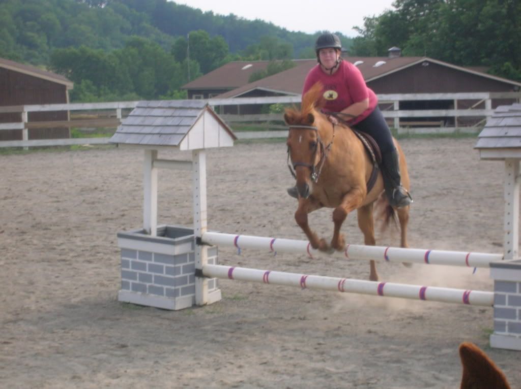 horse006.jpg