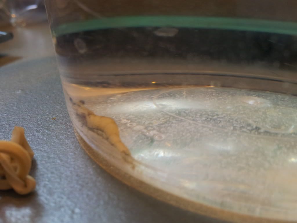 20120727_190702.jpg