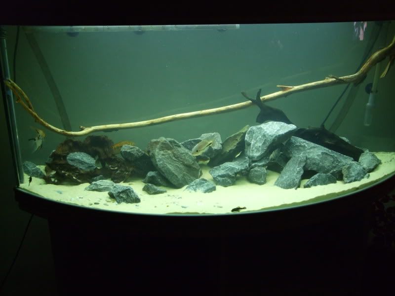 DSCF2171.jpg