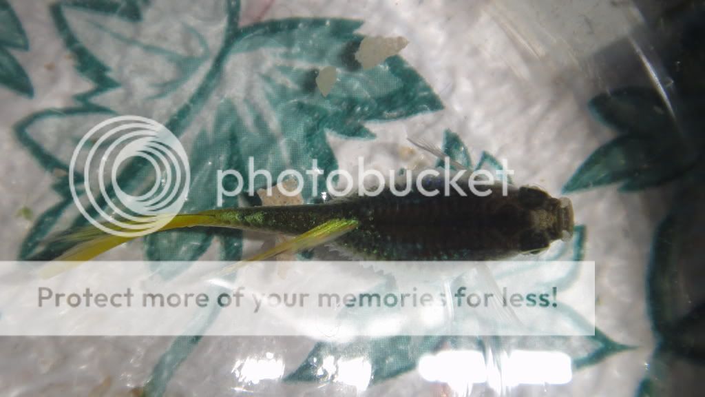 DSC01987.jpg