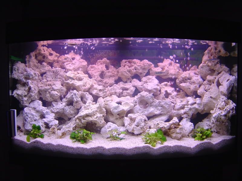 Tank001.jpg