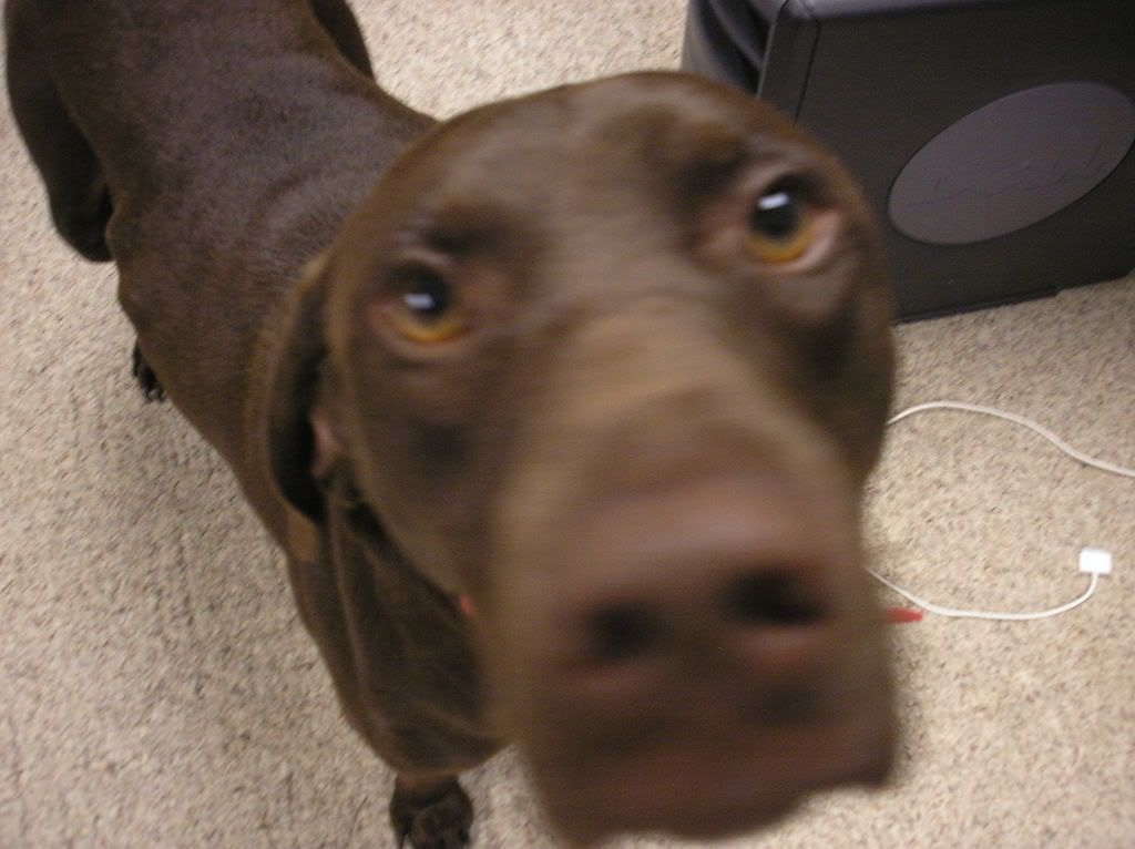 Picture017.jpg