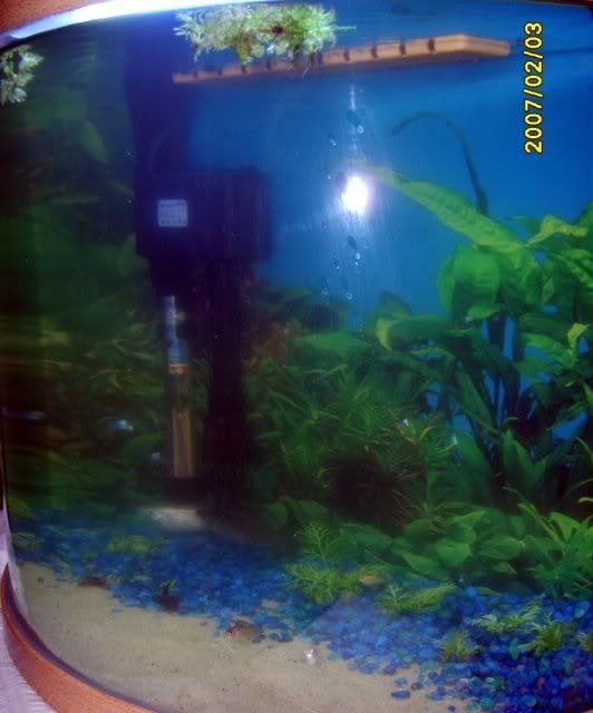 newpics061.jpg