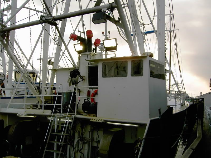 PICT0854.jpg