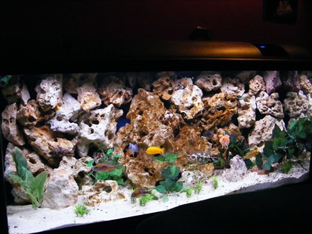 DSCF1001.jpg
