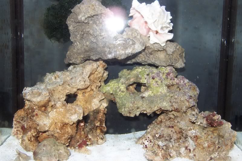 DCP_1141.jpg