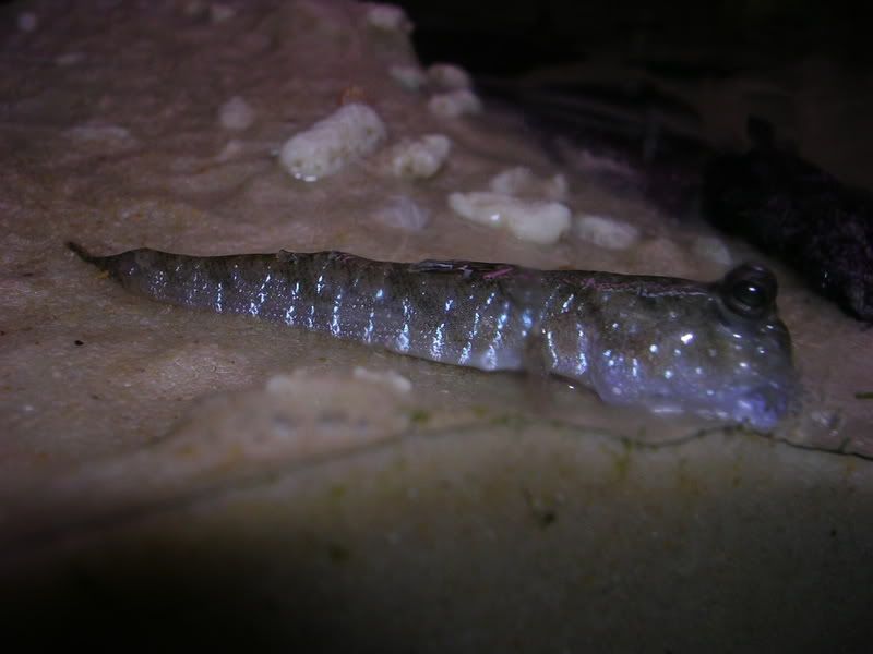 DSCN2984.jpg