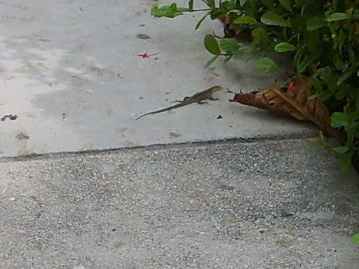 S5008169.jpg