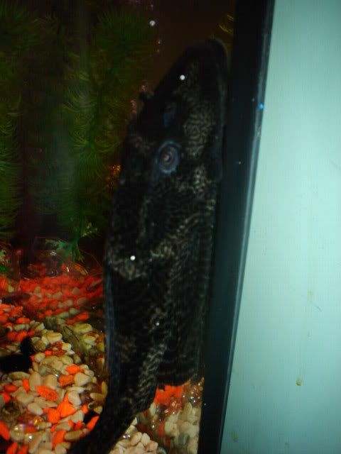 DSC03390.jpg