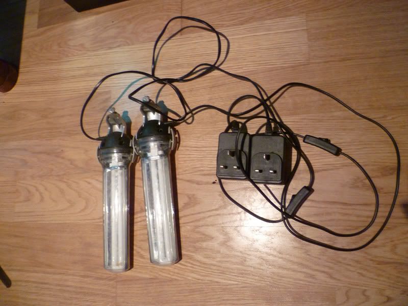 fishtanklight.jpg