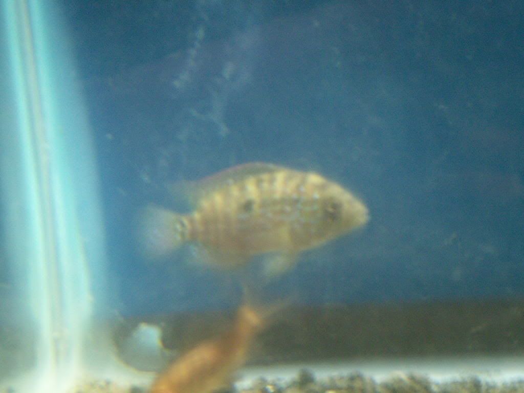 PICT1019.jpg