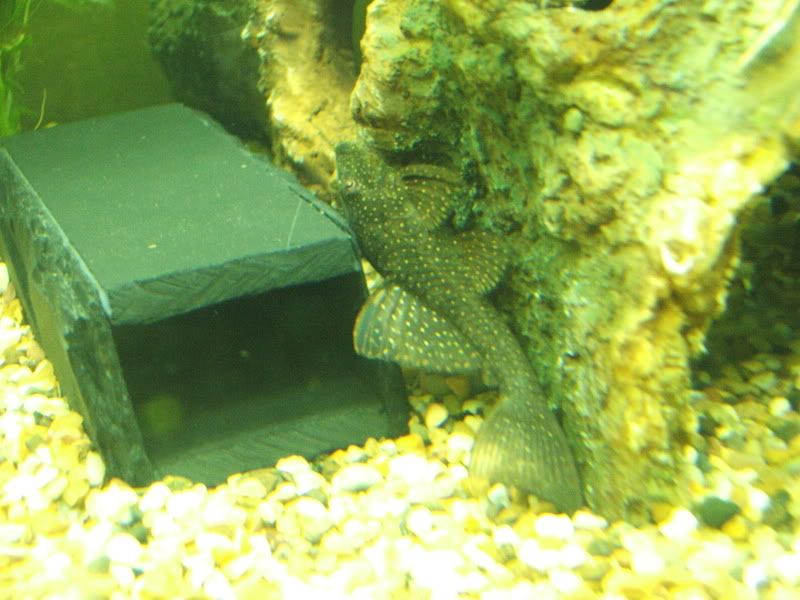 DSCF1113.jpg