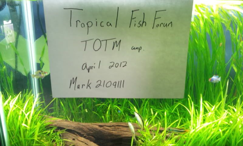 2012-04-06174950.jpg