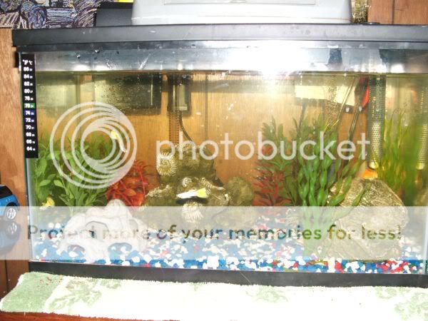 Fishtanks003.jpg