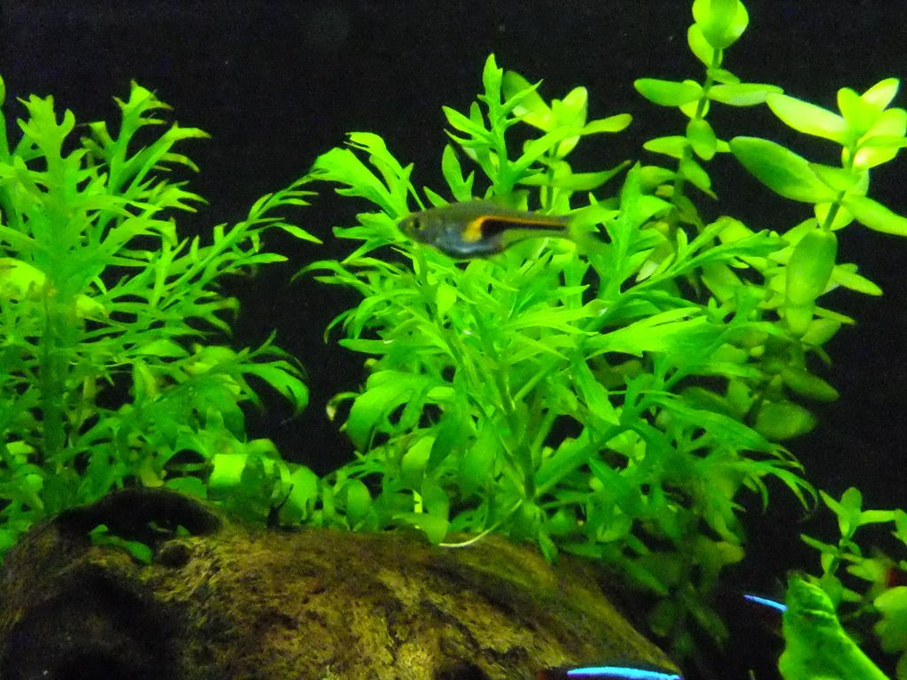 DSCF4080.jpg
