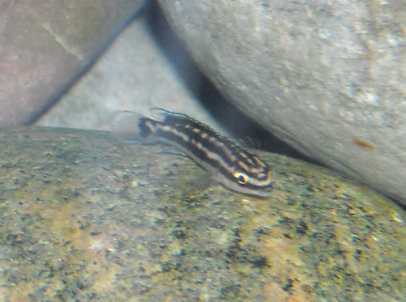 DSCN1049.jpg