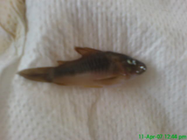 DSC00124.jpg