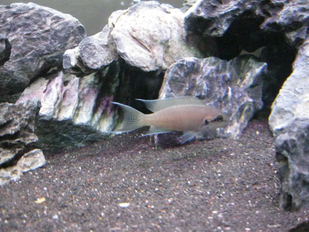 IMG_0203.jpg