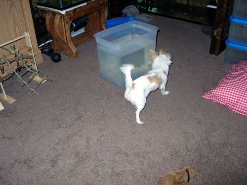 DSCN1907.jpg