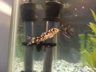 20130529_181719.jpg