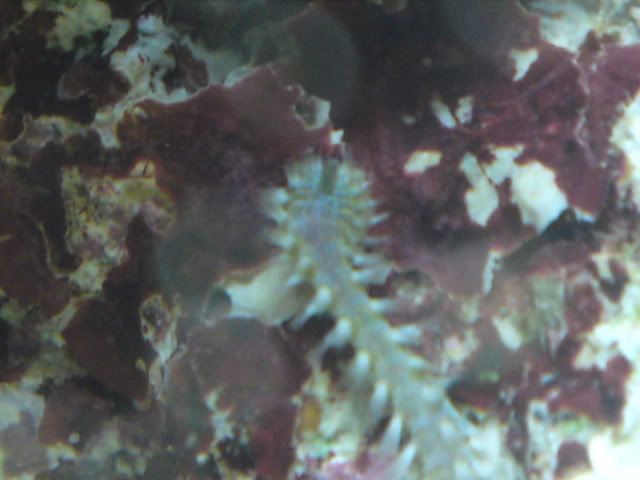 DSC00397.jpg