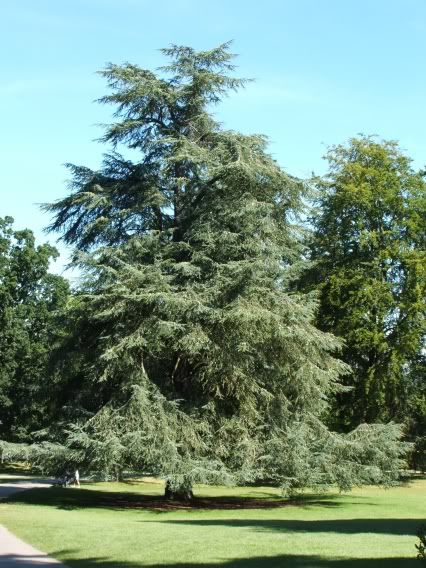 HeverCastle004.jpg