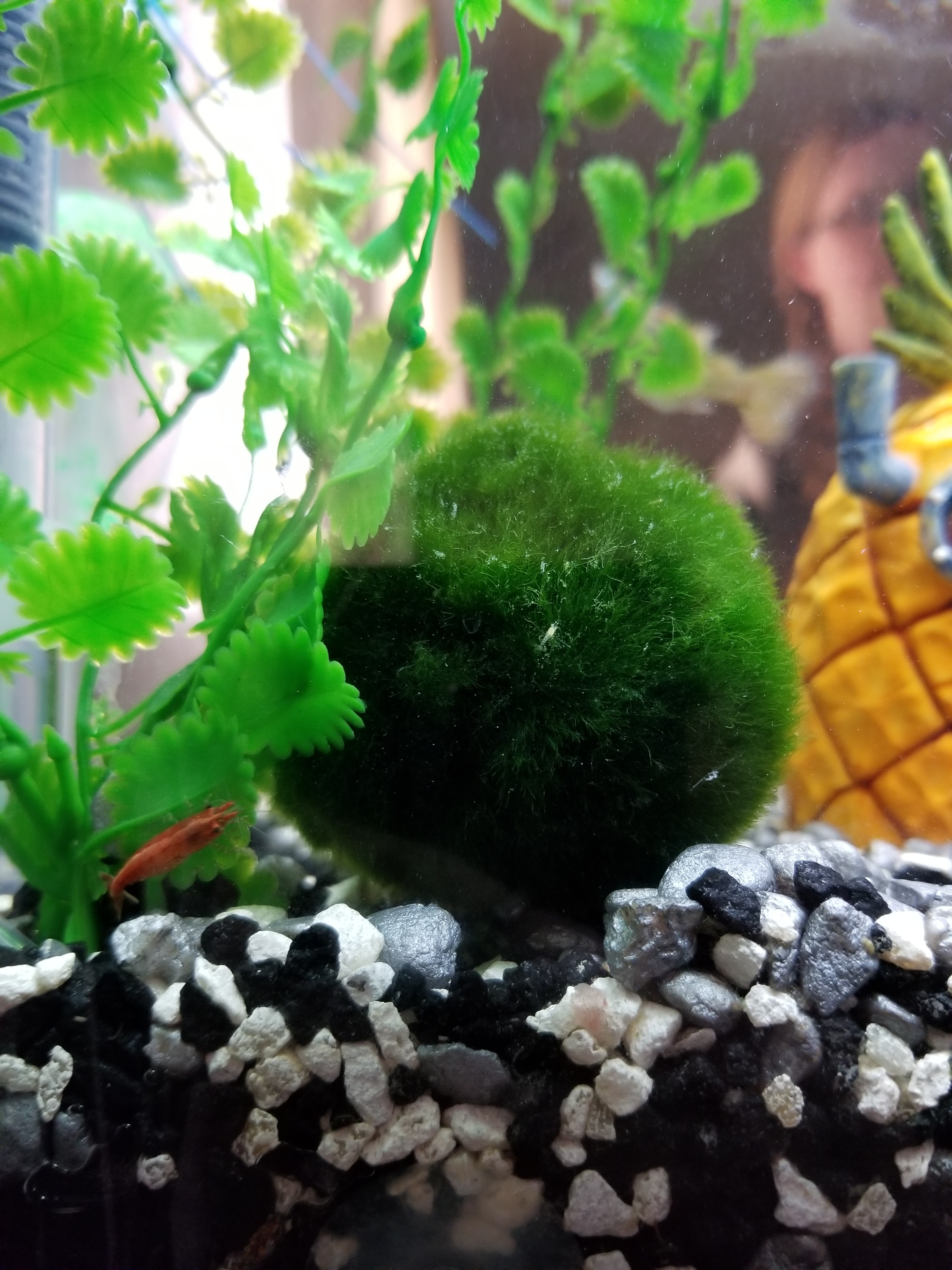 20180416_124756.jpg