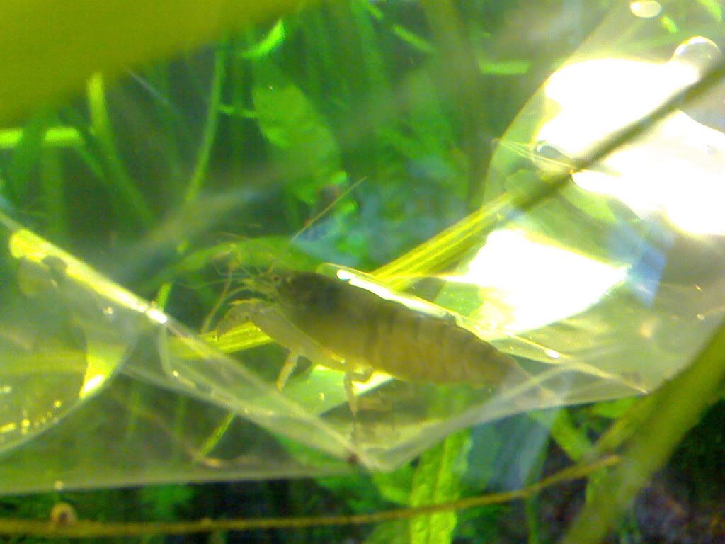DSC00477.jpg