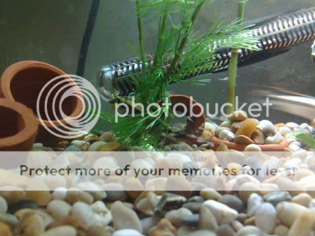 20122008010.jpg