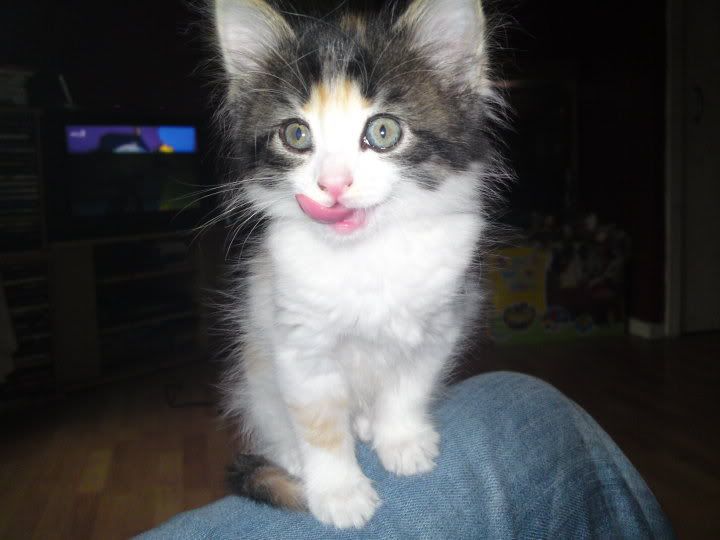ROSIETONGUE.jpg