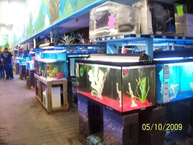 100_6124.jpg
