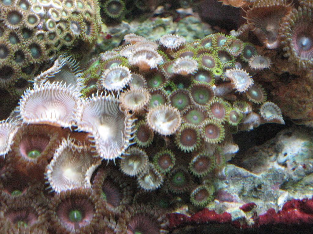 IMG_2024.jpg