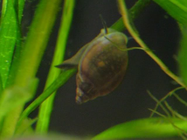 DSCF2341.jpg