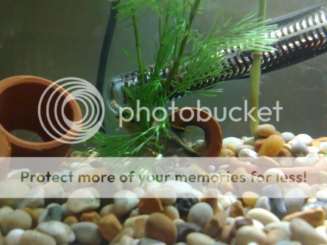 20122008011.jpg