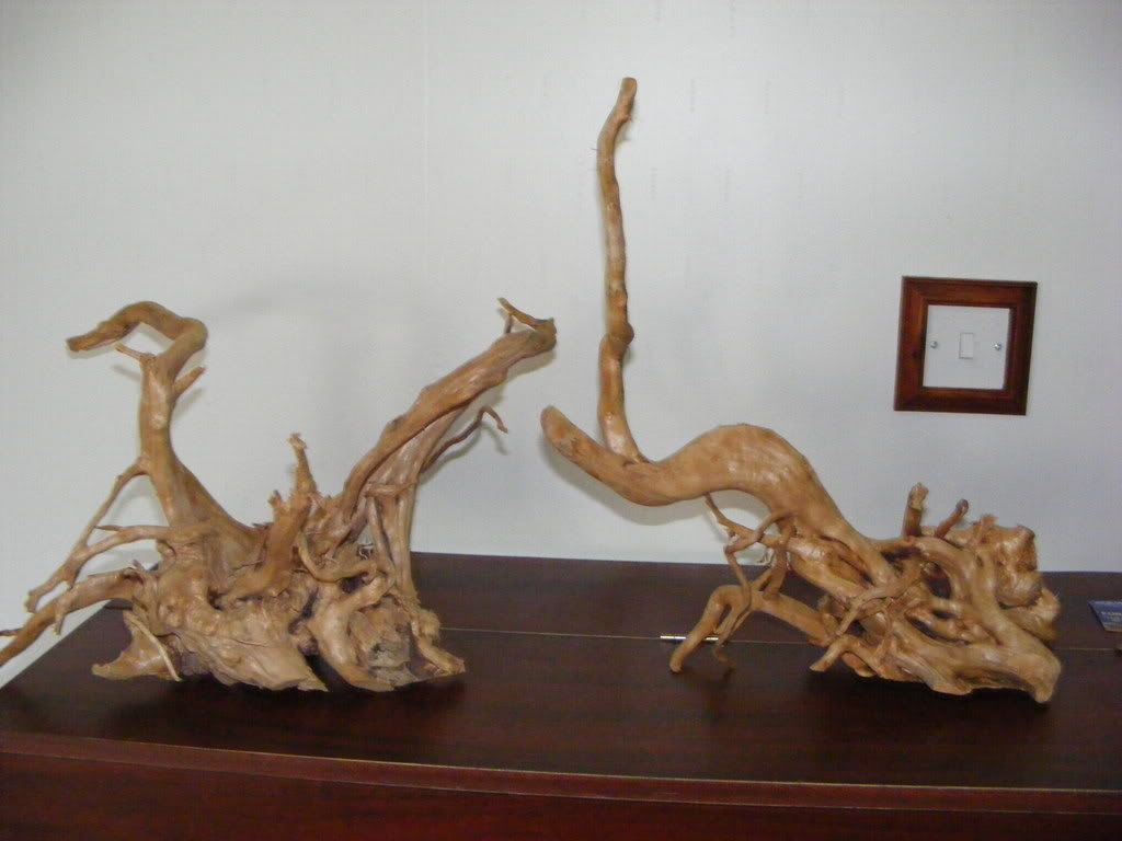 DSCF0572.jpg