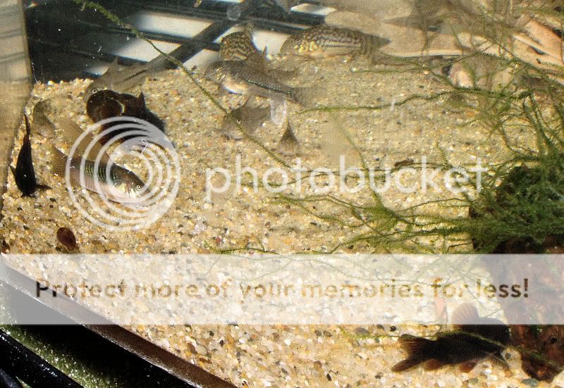 9-9-07032-2.jpg
