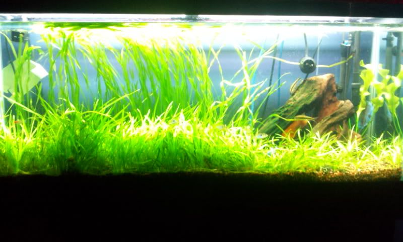 2012-04-05150135.jpg