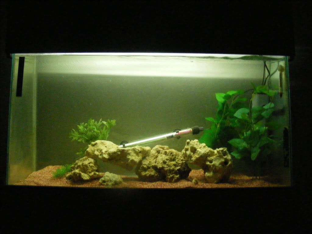 DSCF5871.jpg