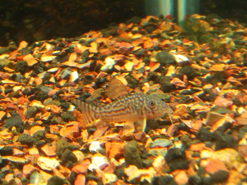 2012-06-24220233.jpg