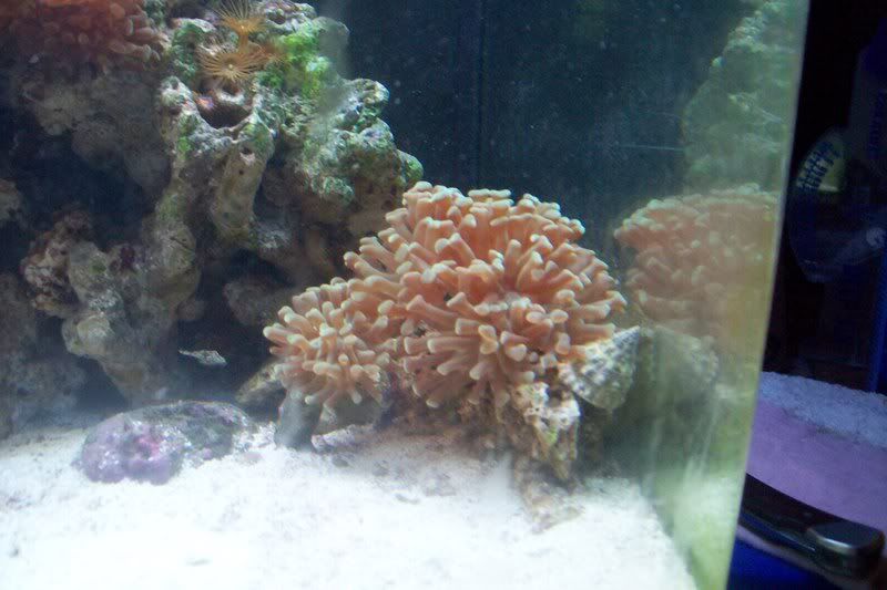 aquarium024.jpg