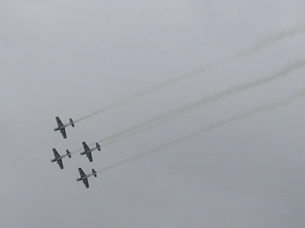 waddington064.jpg