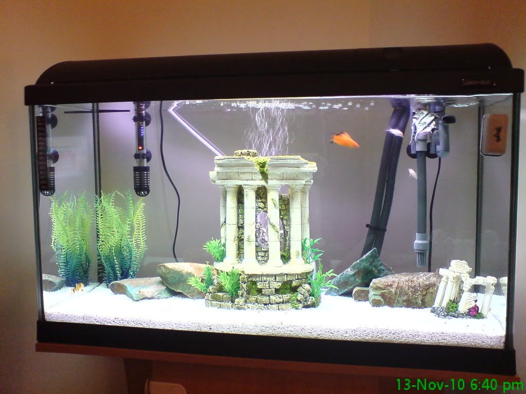 DSC00385.jpg