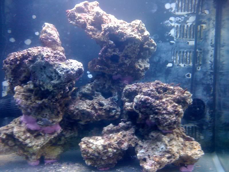 photo2.jpg