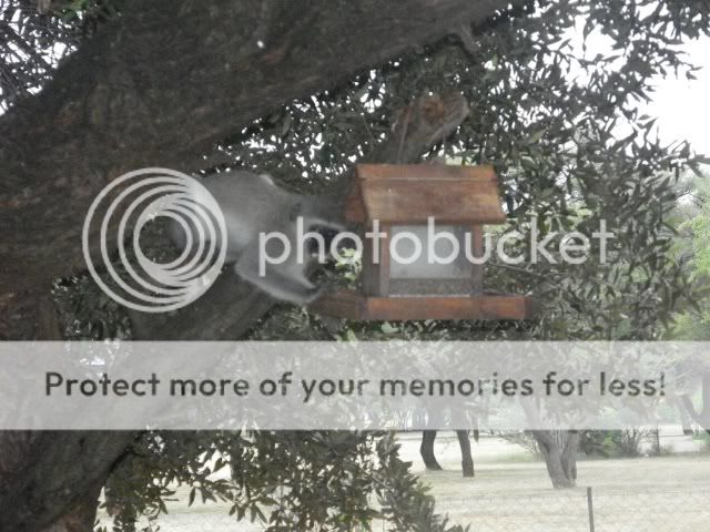 100_3837.jpg
