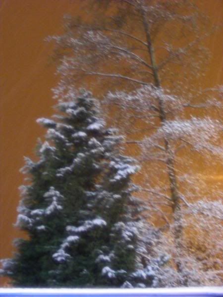 DSCF0856.jpg