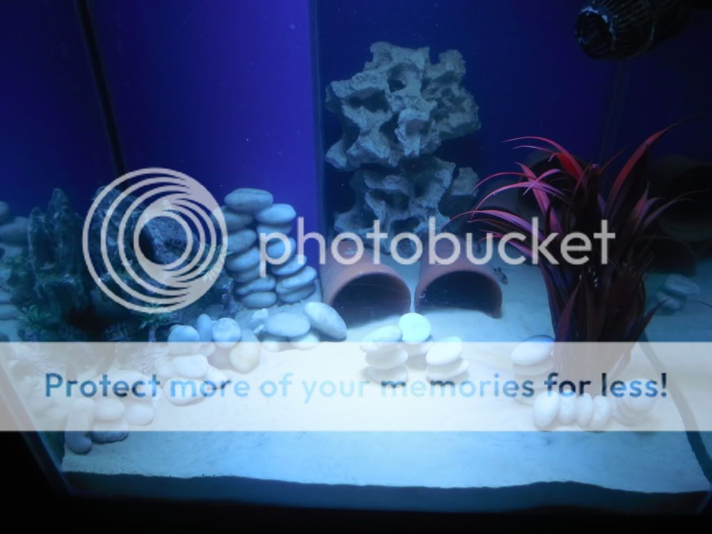 DSCF1122.jpg