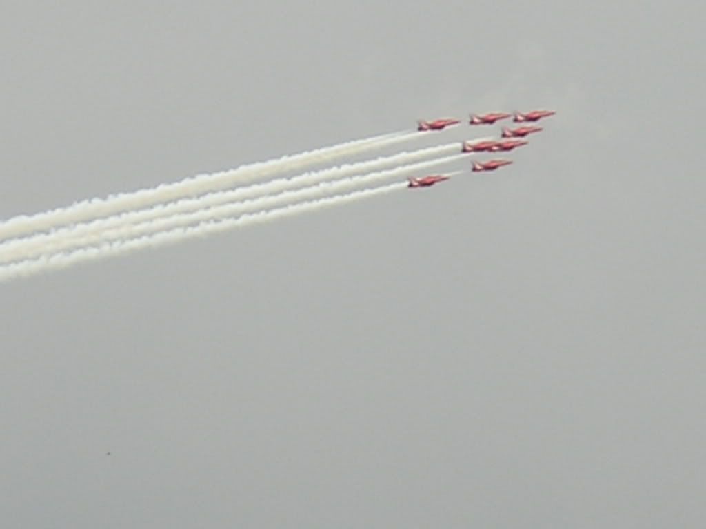 waddington104.jpg