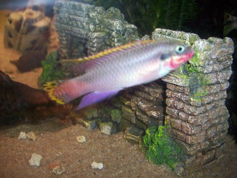 100_2524.jpg
