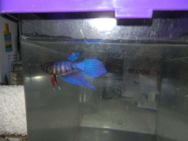 DSCN0428.jpg